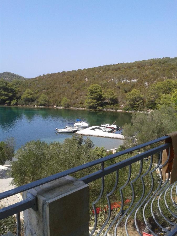 Apartmani Topolovec Luka  Extérieur photo